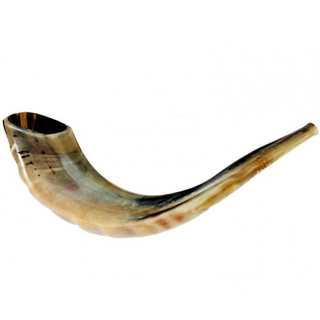  Шофар «Ram Horn» Ашкеназский 35-39 cm