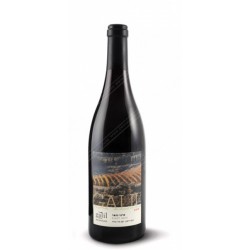 Galil Pinot Noir, Galil Mountain Winery